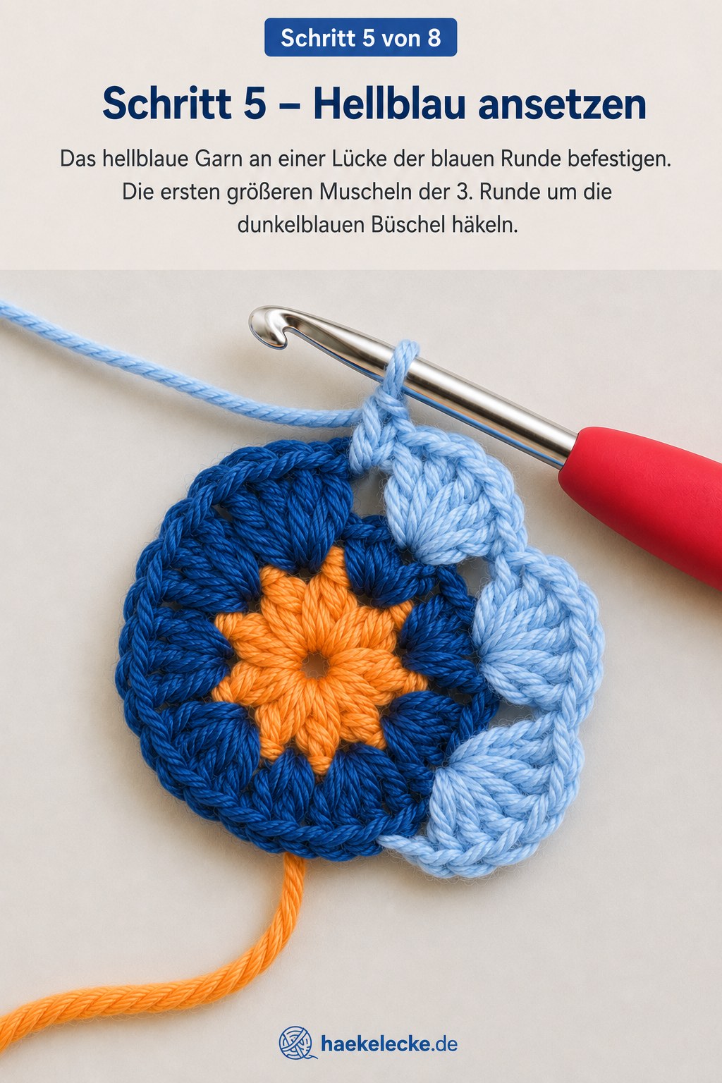 Hellblaues Garn bildet die ersten Muscheln um die dunkelblauen Büschel der Blüte