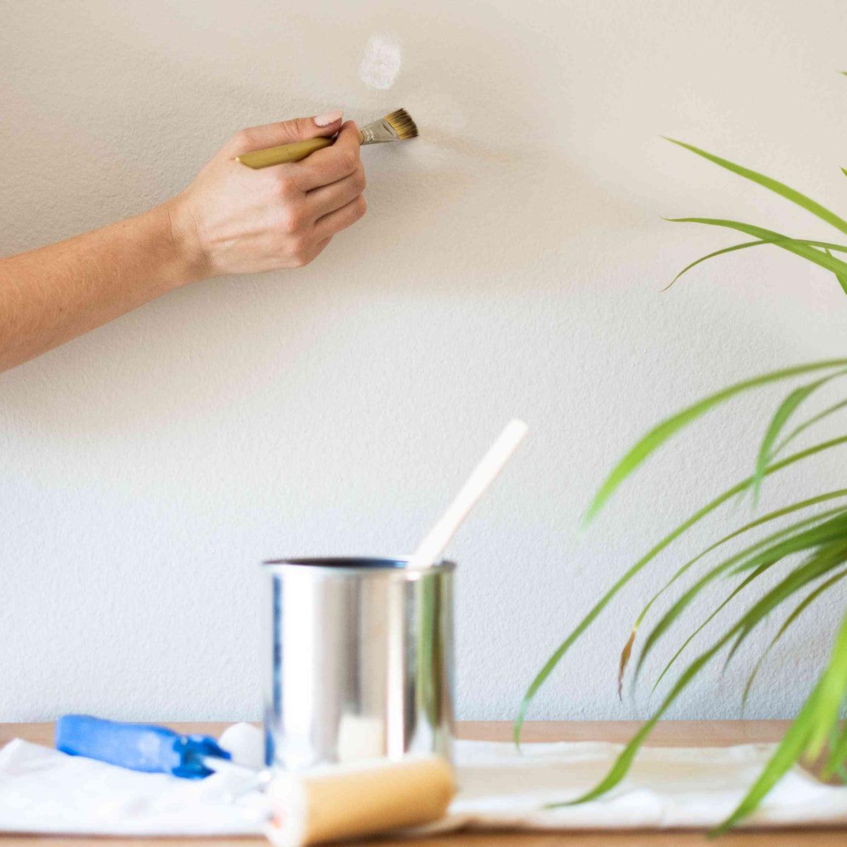 Farbfehler an Wand ausbessern