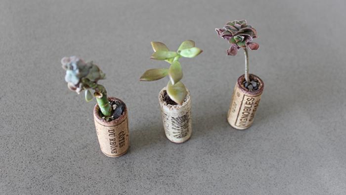 Mini Pflanzgefäße aus Weinkorken