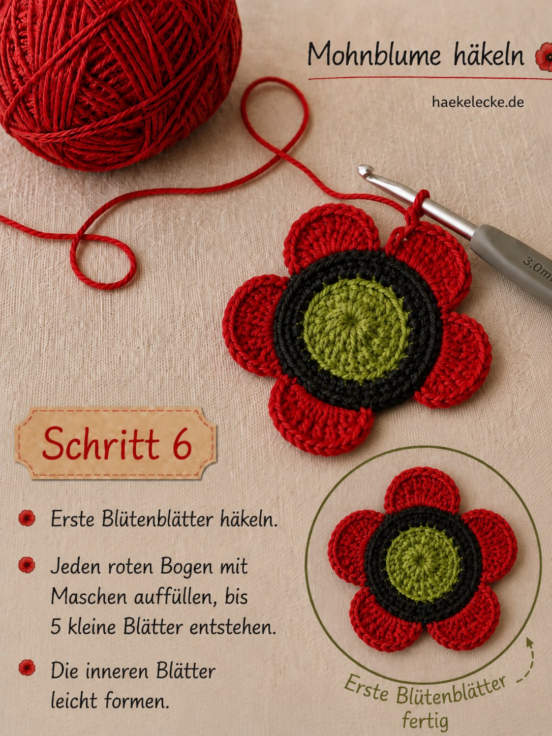 Fünf kleine rote Blütenblätter füllen die Bögen der inneren Reihe der Mohnblume.