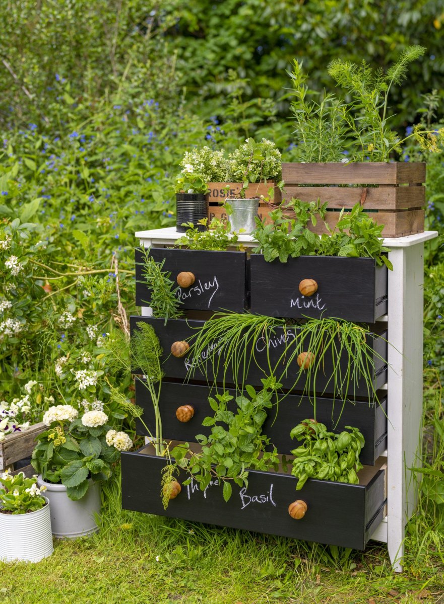 Schublade als Kräutergarten